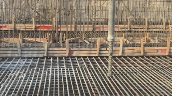 1747124988113497.jpg 1747124983205.jpg